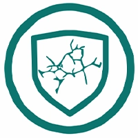 Bridges Cracks Upto 1.5mm