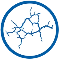 Crack Bridging